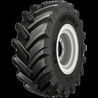 Foto pneumatico: ALLIANCE, 378 AGRISTAR XL 620/75 R3030 169A8 Estive