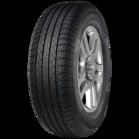 Foto pneumatico: APLUS, A919 225/60 R1717 99H Estive