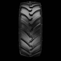 Foto pneumatico: APOLLO, TERRA PRO 1044 IND 400/70 R2020 148D Estive