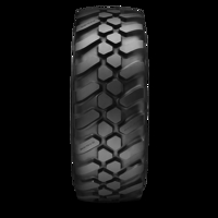 Foto pneumatico: APOLLO, TERRA PRO 1045 IND 460/70 R2424 158D Estive