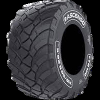 Foto pneumatico: ASCENSO, FTR 170 STEEL BELTED 650/55 R26.526.5 170D Estive