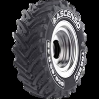 Foto pneumatico: ASCENSO, TDR 650 600/65 R3434 157D Estive