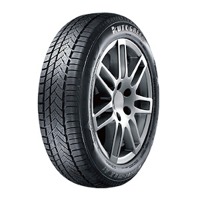 Foto pneumatico: AUTOGREEN, WINTER-MAX A1 WL5 XL BSW M+S 3PMSF 245/45 R1919 102V Invernali