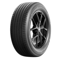 Foto pneumatico: BFGOODRICH, ADVANTAGE SUV 2 XL 215/60 R1717 100H Estive