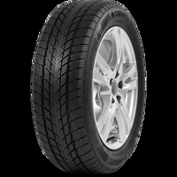 Foto pneumatico: DAVANTI, WINTOURA BSW M+S 3PMSF 155/65 R1414 75T Invernali