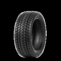 Foto pneumatico: DELINTE, WINTER WD1 M+S 3PMSF 195/55 R1515 85H Invernali