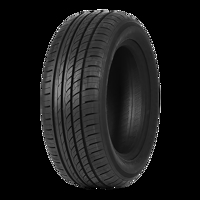Foto pneumatico: Double Coin, DC99 205/55 R1616 91V Estive