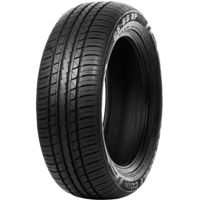 Foto pneumatico: Double Coin, DS66 225/55 R1919 99V Estive