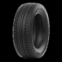 Foto pneumatico: Double Coin, DW-300 SUV XL BSW M+S 3PMSF 225/60 R1717 103V Invernali
