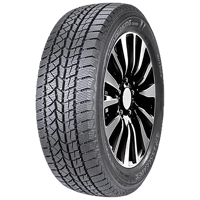 Foto pneumatico: DOUBLESTAR, WINTERKING DW02 BSW M+S 3PMSF 235/60 R1818 103T Invernali