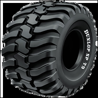 Foto pneumatico: DUNLOP, SP T9 EM M+S 405/70 R1818 153A2 Estive