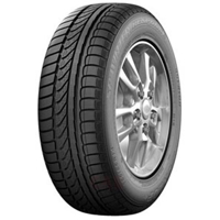 Foto pneumatico: DUNLOP, WIN.RESPON.XLAO 185/60 R1515 88H Invernali