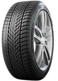 Foto pneumatico: DUNLOP, WINTER 215/55 R1616 97H Invernali