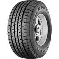Foto pneumatico: FALKEN, WILDPEAK H/T01 M+S 225/60 R1717 99T Estive