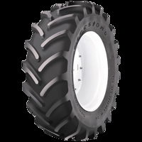 Foto pneumatico: FIRESTONE, PERFORMER 70 380/70 R2424 125D Estive