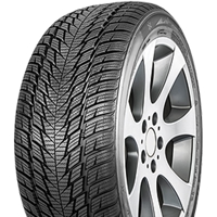 Foto pneumatico: FORTUNA, GOWIN UHP2 XL M+S 3PMSF 205/45 R1717 88V Invernali