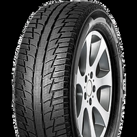 Foto pneumatico: FORTUNA, WINTER SUV M+S 3PMSF 225/65 R1717 102H Invernali