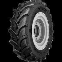 Foto pneumatico: GALAXY, EARTH-PRO RADIAL 700 R-1W 320/70 R2424 116A8 Estive