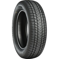 Foto pneumatico: GRIPMAX, SUREGRIP EWINTER XL BSW M+S 3PMSF 225/45 R1717 94V Invernali