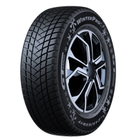 Foto pneumatico: GT-RADIAL, WINTERPRO2 SUV XL BSW M+S 3PMSF 245/65 R1717 111H Invernali
