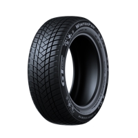 Foto pneumatico: GT-RADIAL, WINTERPRO2 BSW M+S 3PMSF 175/65 R1515 84T Invernali