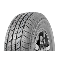 Foto pneumatico: ILINK, TERRAMAX LSR1 A/T 225/75 R1616 115Q Estive
