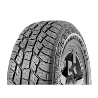 Foto pneumatico: ILINK, TERRAMAX LSR2 A/T 265/60 R1818 110T Estive