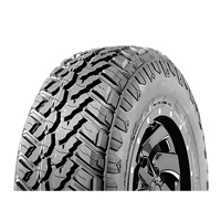 Foto pneumatico: ILINK, WILDWOLF M/T POR 225/75 R1616 115N Estive
