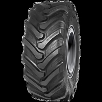 Foto pneumatico: LEAO, LR 400 500/70 R2424 164A8 Estive