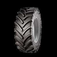 Foto pneumatico: MAXIMO, RADIAL65 440/65 R2424 128D Estive