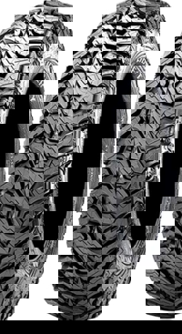 Foto pneumatico: MAXXIS, LIBERTY ML-3 30/10 R1414 60M Estive