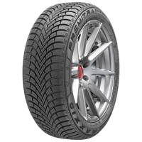 Foto pneumatico: MAXXIS, PREMITRA SNOW WP6 XL 195/55 R1717 92H Invernali