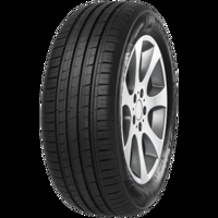 Foto pneumatico: MINERVA, F209 XL BSW 205/50 R1515 89V Estive