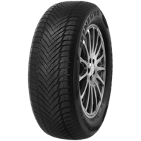 Foto pneumatico: MINERVA, FROSTRACK HP XL M+S 3PMSF 195/50 R1616 88V Invernali
