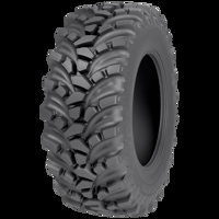 Foto pneumatico: NOKIAN, GROUND KING 600/70 R3030 161E Estive