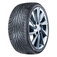 Foto pneumatico: SUNNY, SSP601 XL BSW 255/40 R2020 101W Estive