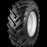 Foto pneumatico: TRELLEBORG, TM900 HIGH POWER 650/85 R3838 173D Estive