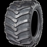 Foto pneumatico: EUROGRIP, TC 09 500/45 -2020 160A8 Estive