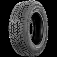Foto pneumatico: VREDESTEIN, WINTRAC ICE XL M+S STUDDED M+S 3PMSF 245/45 R1818 100T Invernali