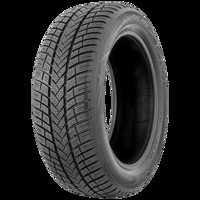 Foto pneumatico: VREDESTEIN, WINTRAC PRO XL FSL BSW M+S 3PMSF 315/30 R2121 105Y Invernali