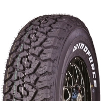 Foto pneumatico: WINDFORCE, CATCHFORS A/T II BSW M+S 245/70 R1616 113S Estive