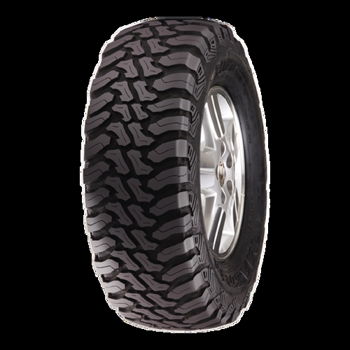 Pneumatico ACCELERA MT 01