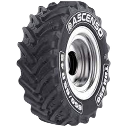 Pneumatico ASCENSO TDR 650