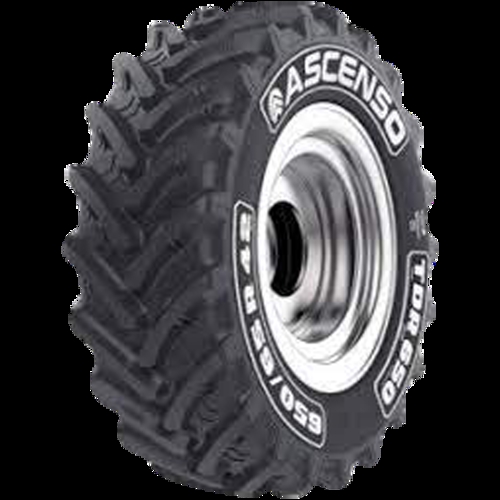 Pneumatico ASCENSO TDR 650