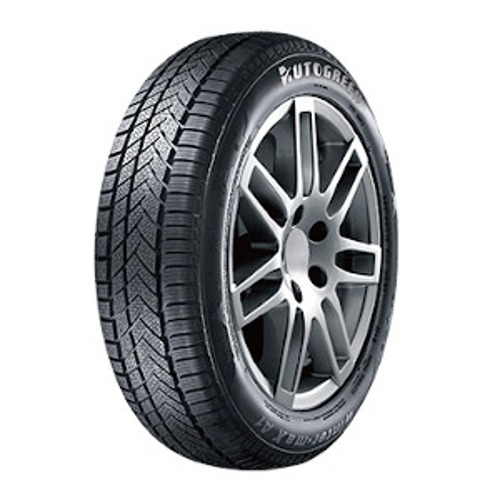 Pneumatico AUTOGREEN WINTER MAX A1 WL5 XL