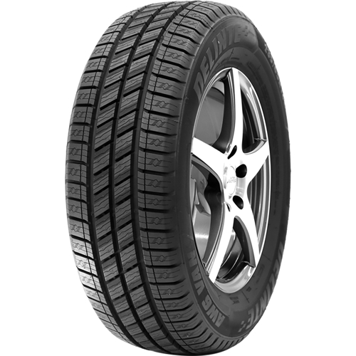 Pneumatico DELINTE AW6-VAN