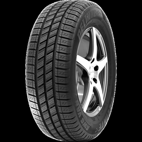 Pneumatico DELINTE AW6 VAN C