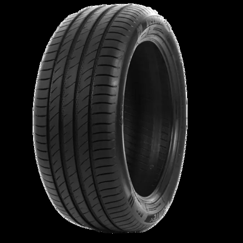 Pneumatico DELINTE DS2 XL BSW