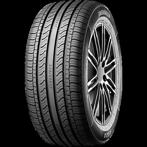 Pneumatico EVERGREEN EH23 BSW