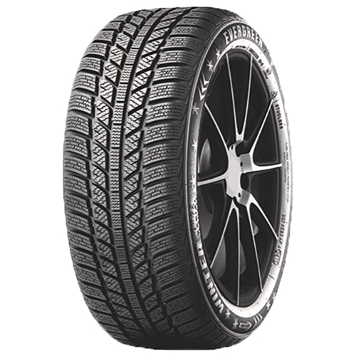 Pneumatico EVERGREEN EW 62